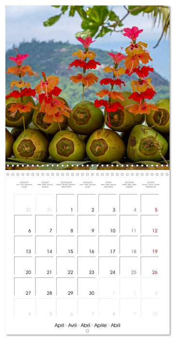Seychelles, islands in the ocean (CALVENDO Monthly Calendar 2026)