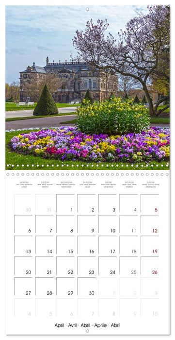 Dresden seasons of a city (CALVENDO Monthly Calendar 2026)