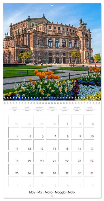 Dresden seasons of a city (CALVENDO Monthly Calendar 2026)