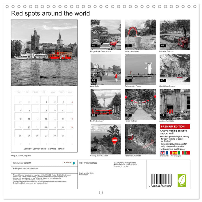 Red spots around the world (CALVENDO Monthly Calendar 2026)