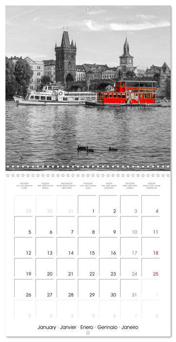 Red spots around the world (CALVENDO Monthly Calendar 2026)