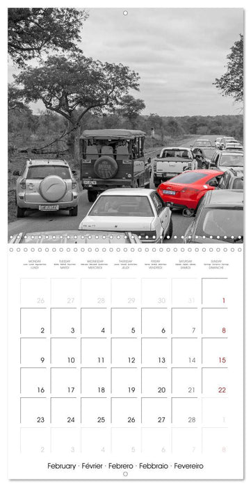 Red spots around the world (CALVENDO Monthly Calendar 2026)