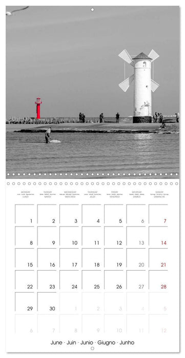 Red spots around the world (CALVENDO Monthly Calendar 2026)