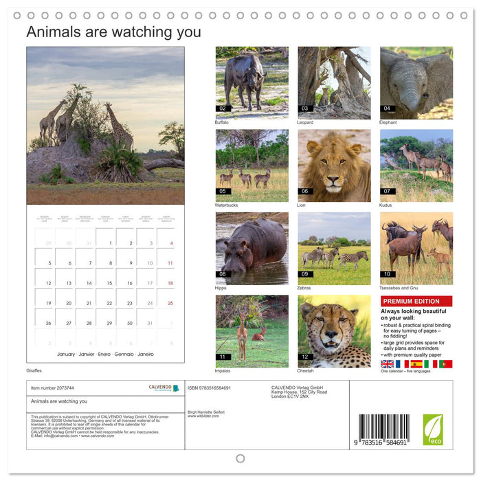 Animals are watching you (CALVENDO Monthly Calendar 2026)
