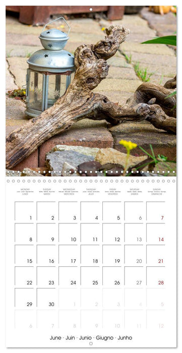 Harriette`s sweet garden (CALVENDO Monthly Calendar 2026)