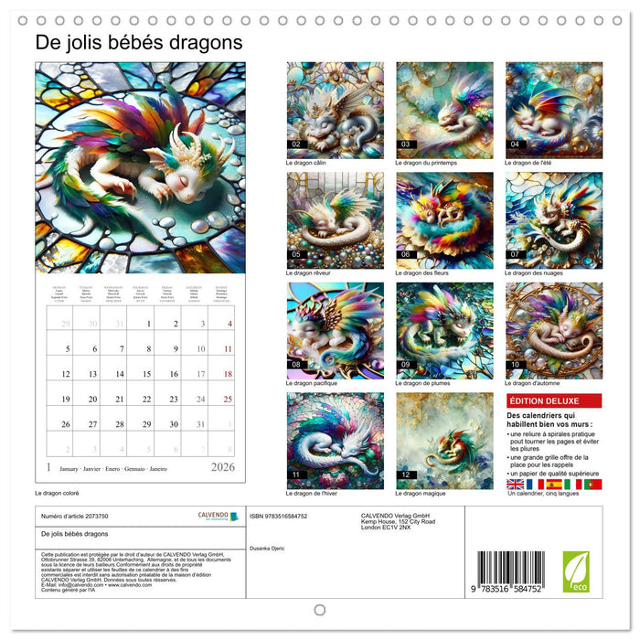 De jolis bébés dragons (CALVENDO Calendrier mensuel 2026)