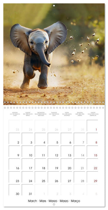 Baby Elephant Adventures (CALVENDO Monthly Calendar 2026)