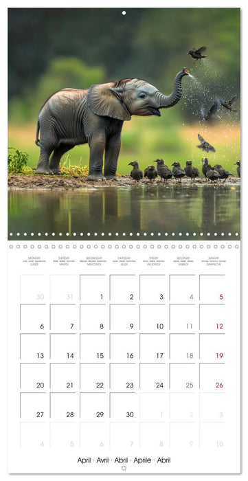 Baby Elephant Adventures (CALVENDO Monthly Calendar 2026)