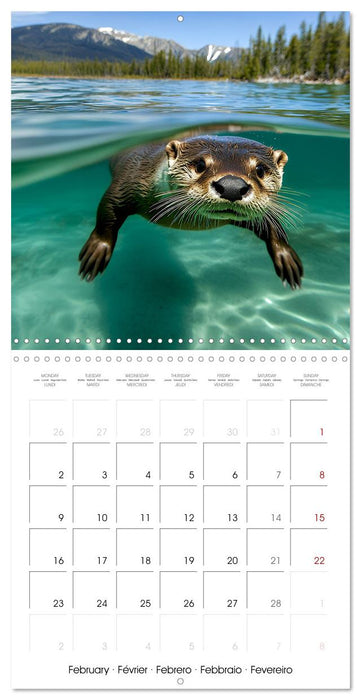 Cute Otter Moments (CALVENDO Monthly Calendar 2026)