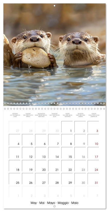 Cute Otter Moments (CALVENDO Monthly Calendar 2026)