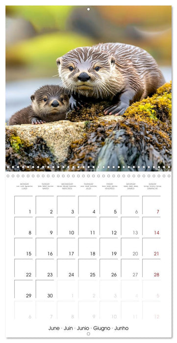 Cute Otter Moments (CALVENDO Monthly Calendar 2026)