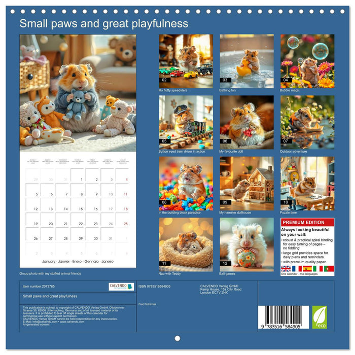 Small paws and great playfulness (CALVENDO Monthly Calendar 2026)