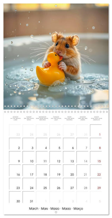 Small paws and great playfulness (CALVENDO Monthly Calendar 2026)
