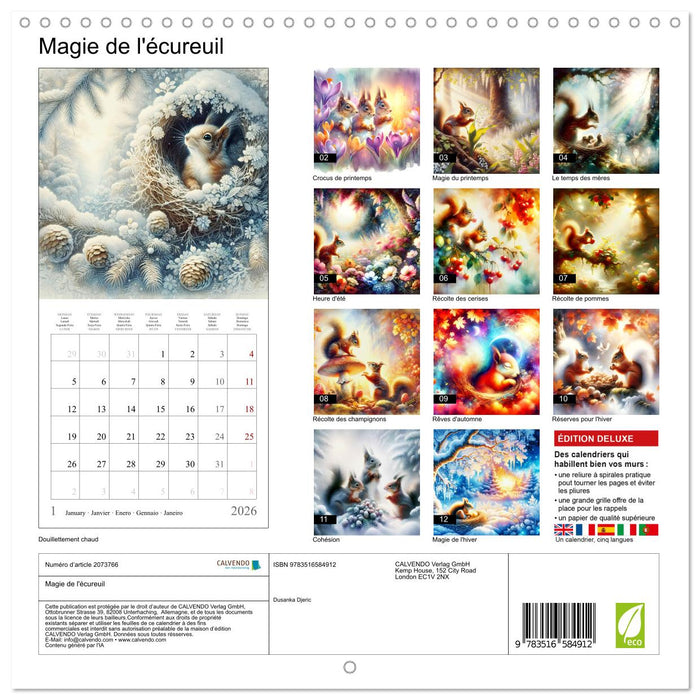 Magie de l'écureuil (CALVENDO Calendrier mensuel 2026)