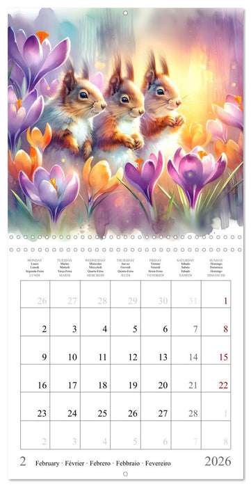 Magie de l'écureuil (CALVENDO Calendrier mensuel 2026)