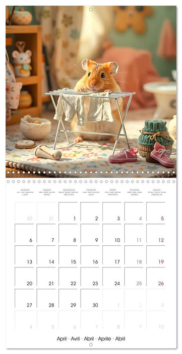 Hamster housekeeping - little paws and big Jobs (CALVENDO Monthly Calendar 2026)