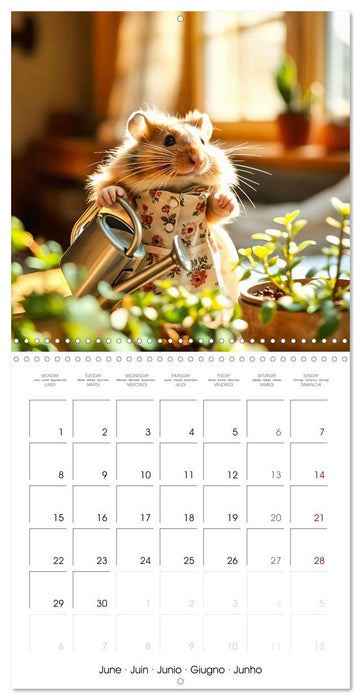 Hamster housekeeping - little paws and big Jobs (CALVENDO Monthly Calendar 2026)