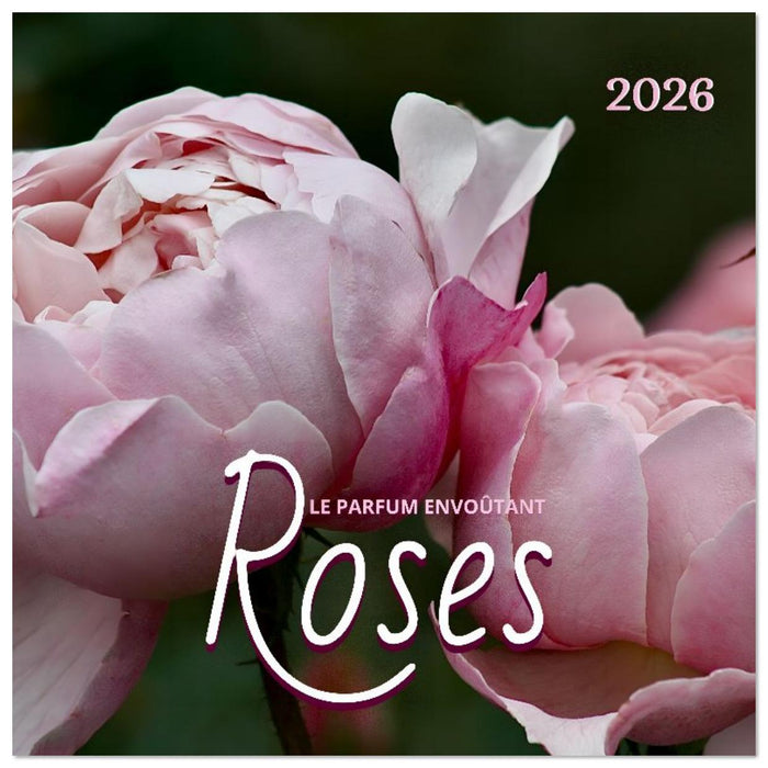 LE PARFUM ENVOÛTANT DES ROSES (CALVENDO Calendrier mensuel 2026)