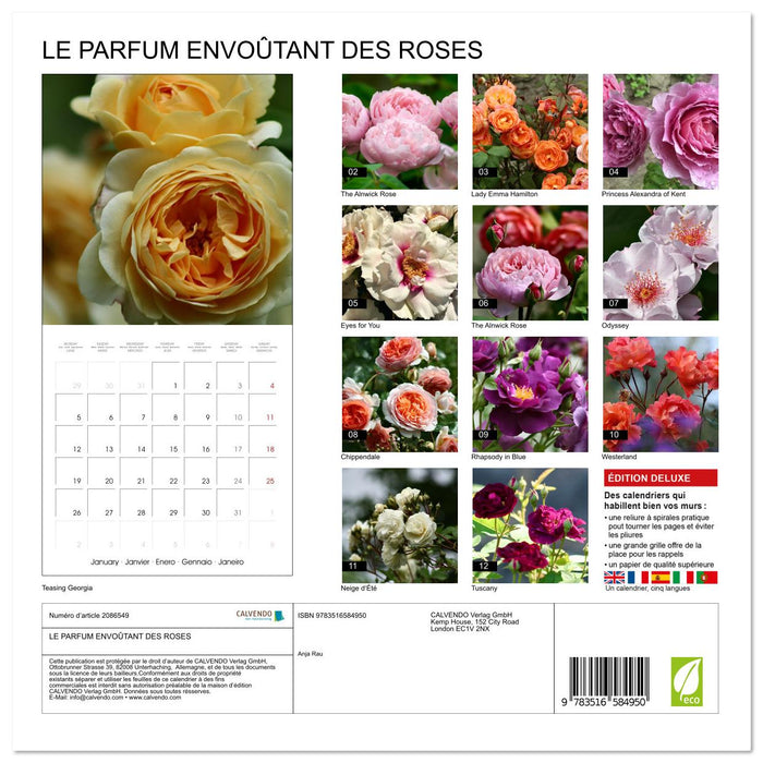 LE PARFUM ENVOÛTANT DES ROSES (CALVENDO Calendrier mensuel 2026)