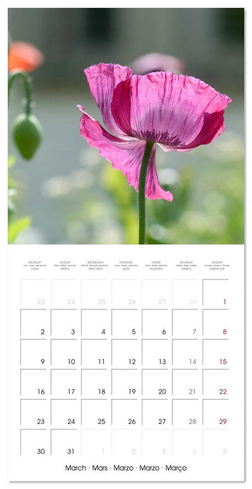 ENCHANTING FLOWERS (CALVENDO Monthly Calendar 2026)