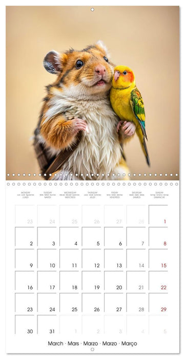 Hamster heart and paw friends (CALVENDO Monthly Calendar 2026)