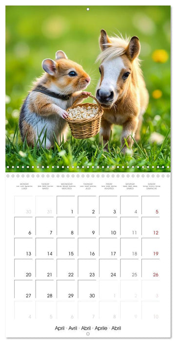 Hamster heart and paw friends (CALVENDO Monthly Calendar 2026)