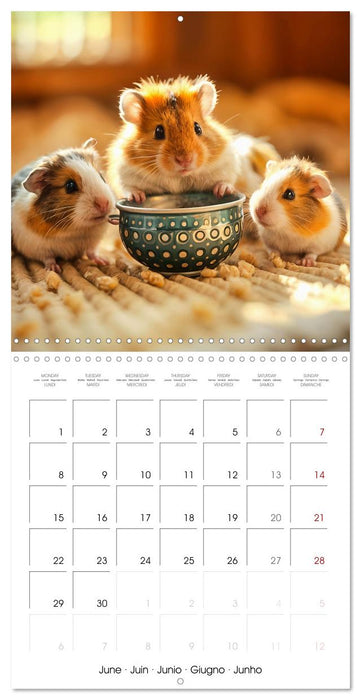 Hamster heart and paw friends (CALVENDO Monthly Calendar 2026)