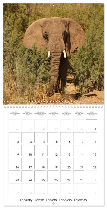 Namibian Adventure (CALVENDO Monthly Calendar 2026)
