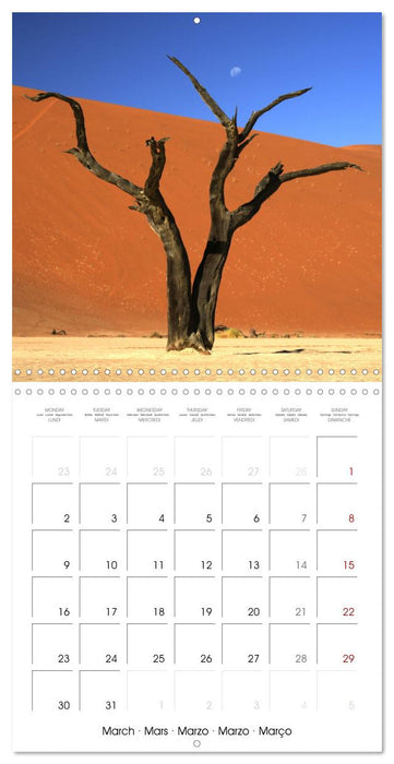 Namibian Adventure (CALVENDO Monthly Calendar 2026)
