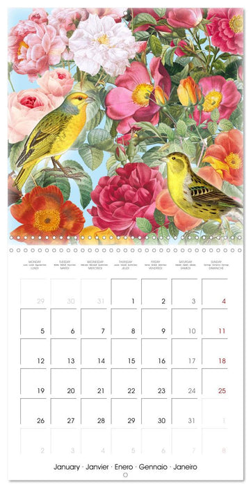 Dans le jardin de Monsieur Pierre-Joseph Redouté (CALVENDO Calendrier mensuel 2026)