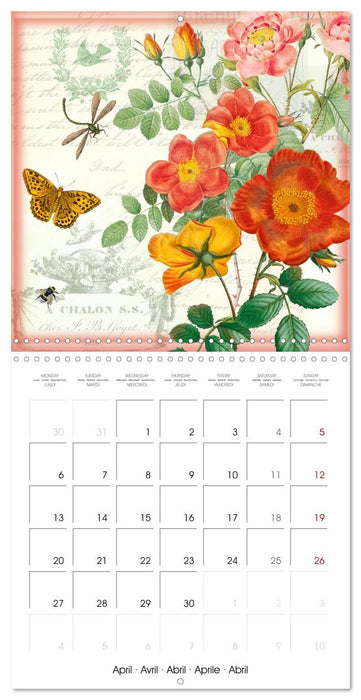 Dans le jardin de Monsieur Pierre-Joseph Redouté (CALVENDO Calendrier mensuel 2026)