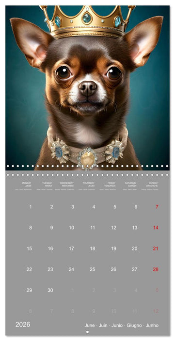 If dogs were humans (CALVENDO Monthly Calendar 2026)
