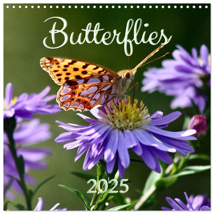 BUTTERFLIES 2026 (CALVENDO Monthly Calendar 2026)