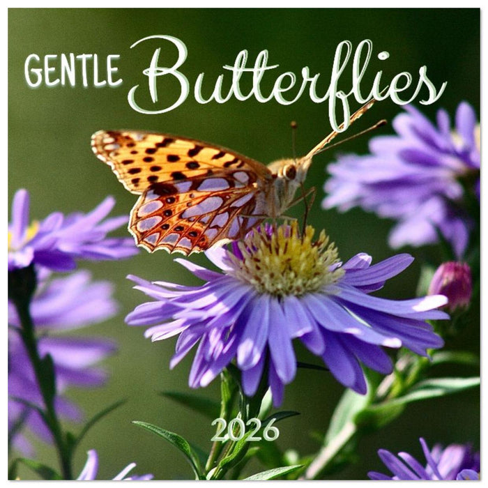 Gentle butterflies (CALVENDO Monthly Calendar 2026)