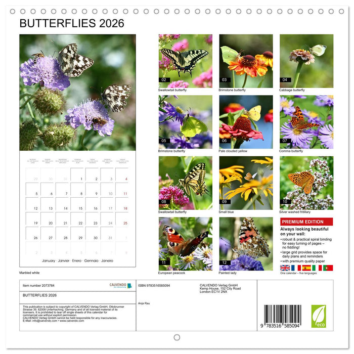 BUTTERFLIES 2026 (CALVENDO Monthly Calendar 2026)
