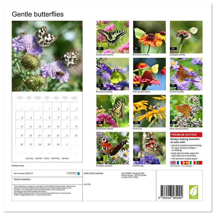 Gentle butterflies (CALVENDO Monthly Calendar 2026)