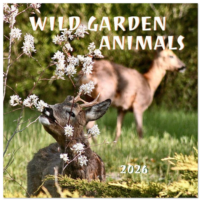 WILD GARDEN ANIMALS (CALVENDO Monthly Calendar 2026)