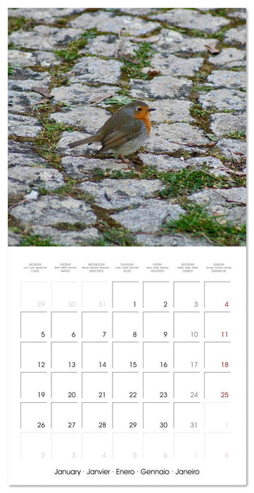 WILD GARDEN ANIMALS (CALVENDO Monthly Calendar 2026)