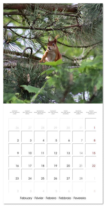 WILD GARDEN ANIMALS (CALVENDO Monthly Calendar 2026)