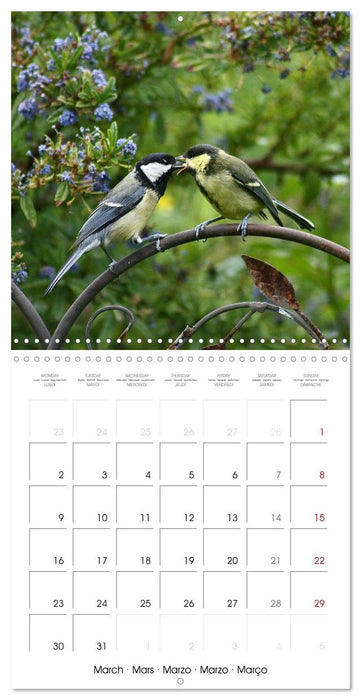 WILD GARDEN ANIMALS 2026 (CALVENDO Monthly Calendar 2026)