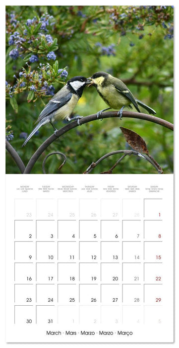 WILD GARDEN ANIMALS (CALVENDO Monthly Calendar 2026)