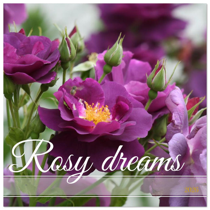 Rosy dreams (CALVENDO Monthly Calendar 2026)