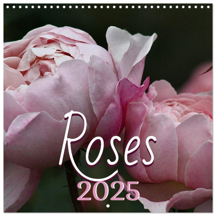 ROSES 2026 (CALVENDO Monthly Calendar 2026)