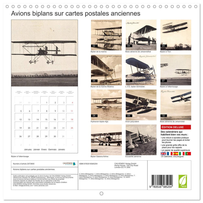 Avions biplans sur cartes postales anciennes (CALVENDO Calendrier mensuel 2026)