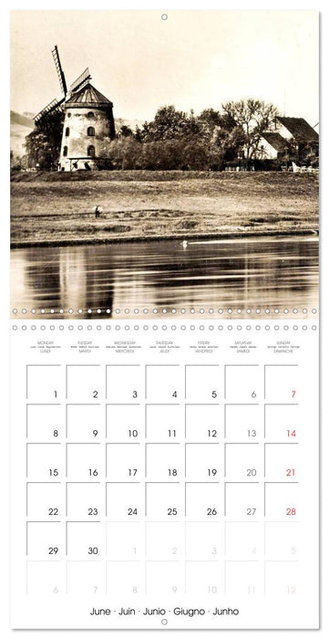 Souvenirs de Dresde : Cartes postales historiques de la ville (CALVENDO Calendrier mensuel 2026)