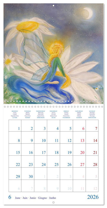Colorful Fairies (CALVENDO Monthly Calendar 2026)