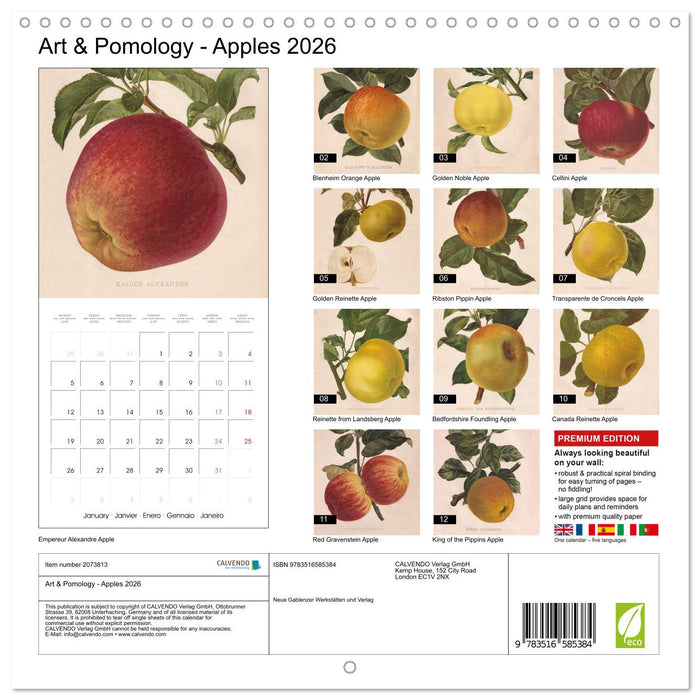 Art & Pomology - Apples 2026 (CALVENDO Monthly Calendar 2026)