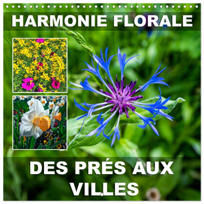 Harmonie Florale Des Prés aux Villes (CALVENDO Calendrier mensuel 2026)