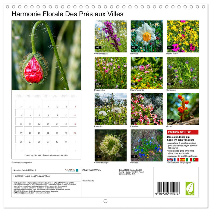 Harmonie Florale Des Prés aux Villes (CALVENDO Calendrier mensuel 2026)