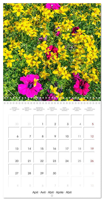Harmonie Florale Des Prés aux Villes (CALVENDO Calendrier mensuel 2026)